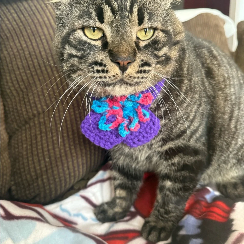 Handmade Purple Cat / small dog scarf with Multicolor Accents